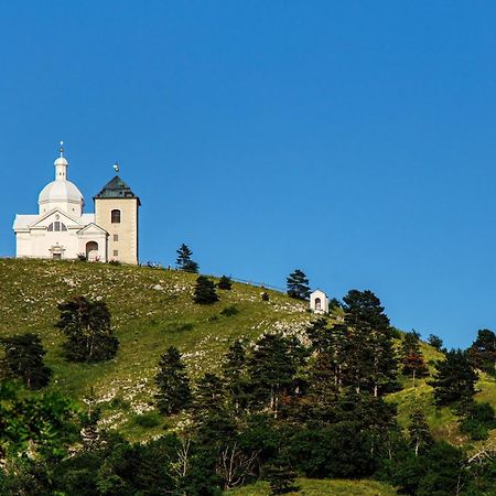 Penzion Terasa Cibulka Mikulov Exteriör bild