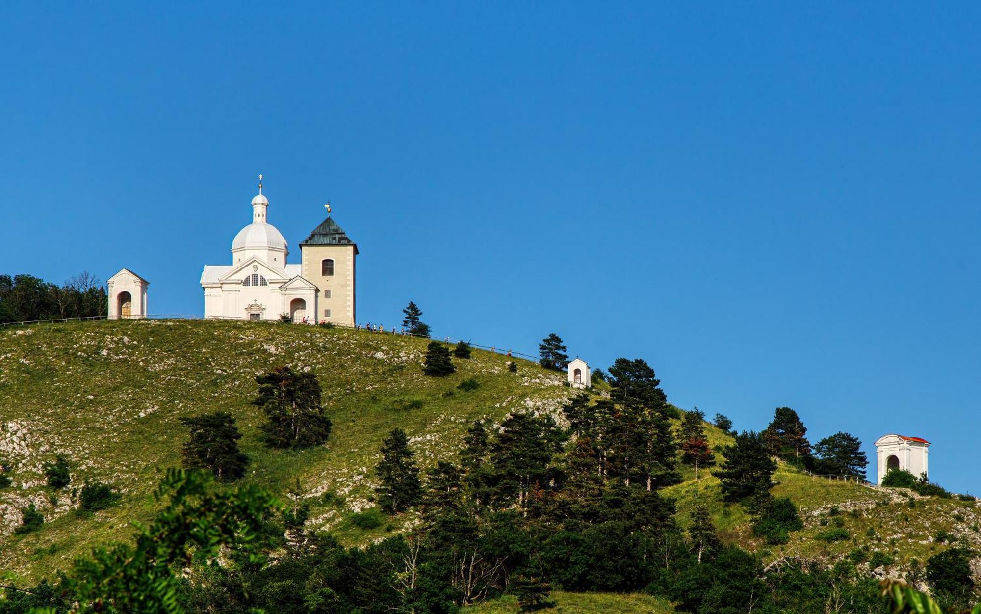 Penzion Terasa Cibulka Mikulov Exteriör bild